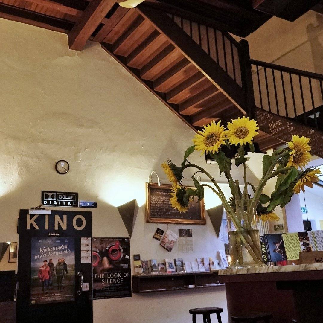 Mal seh'n Kino