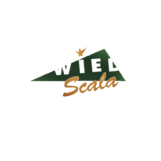 Wied Scala Programmkino & Café