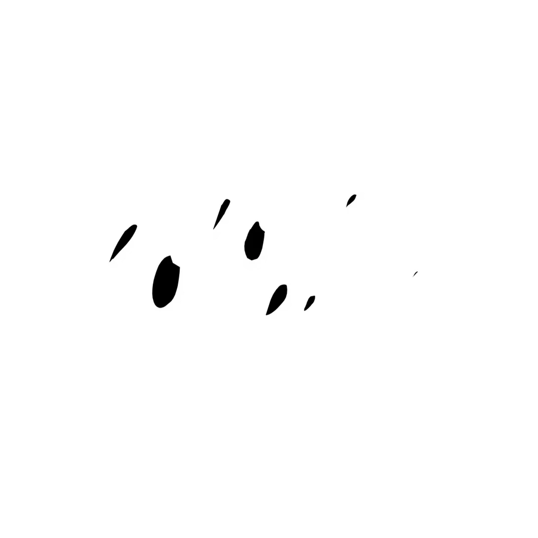 Colosseum-Center