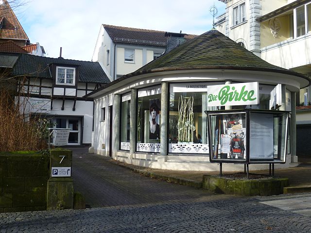 Die Birke