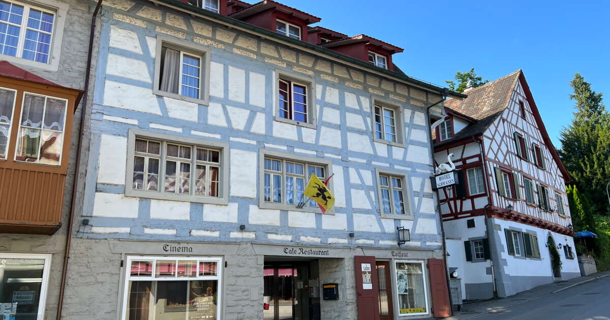 Cinema-Schwanen
