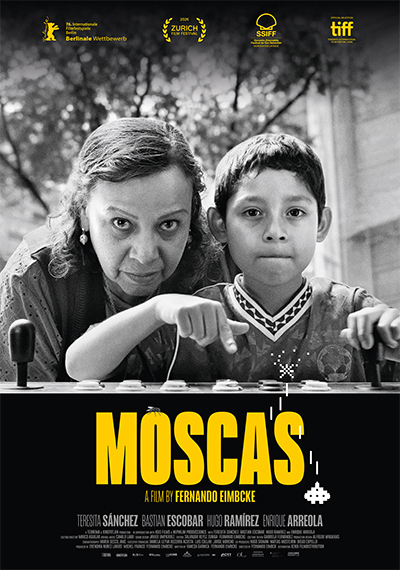 Moscas